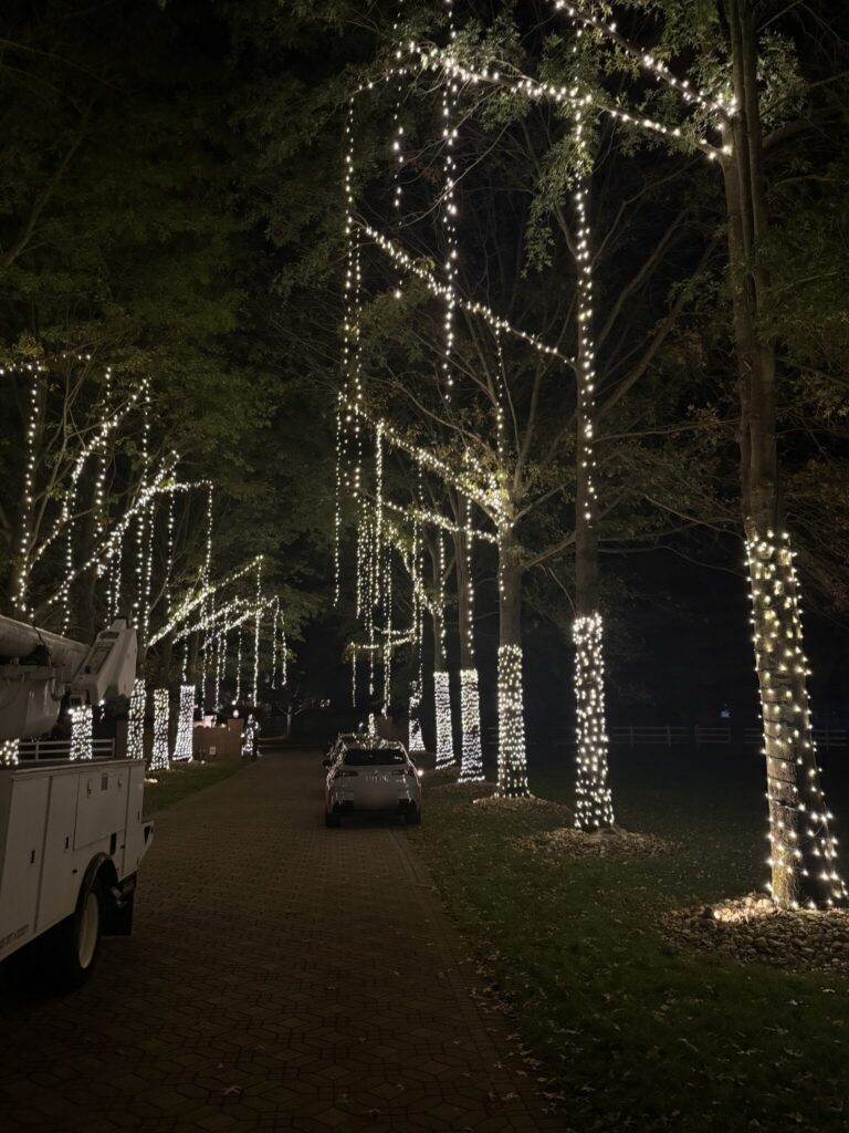 Long driveway lined with trees wrapped and draped in warm white lights, with a bucket truck parked alongside